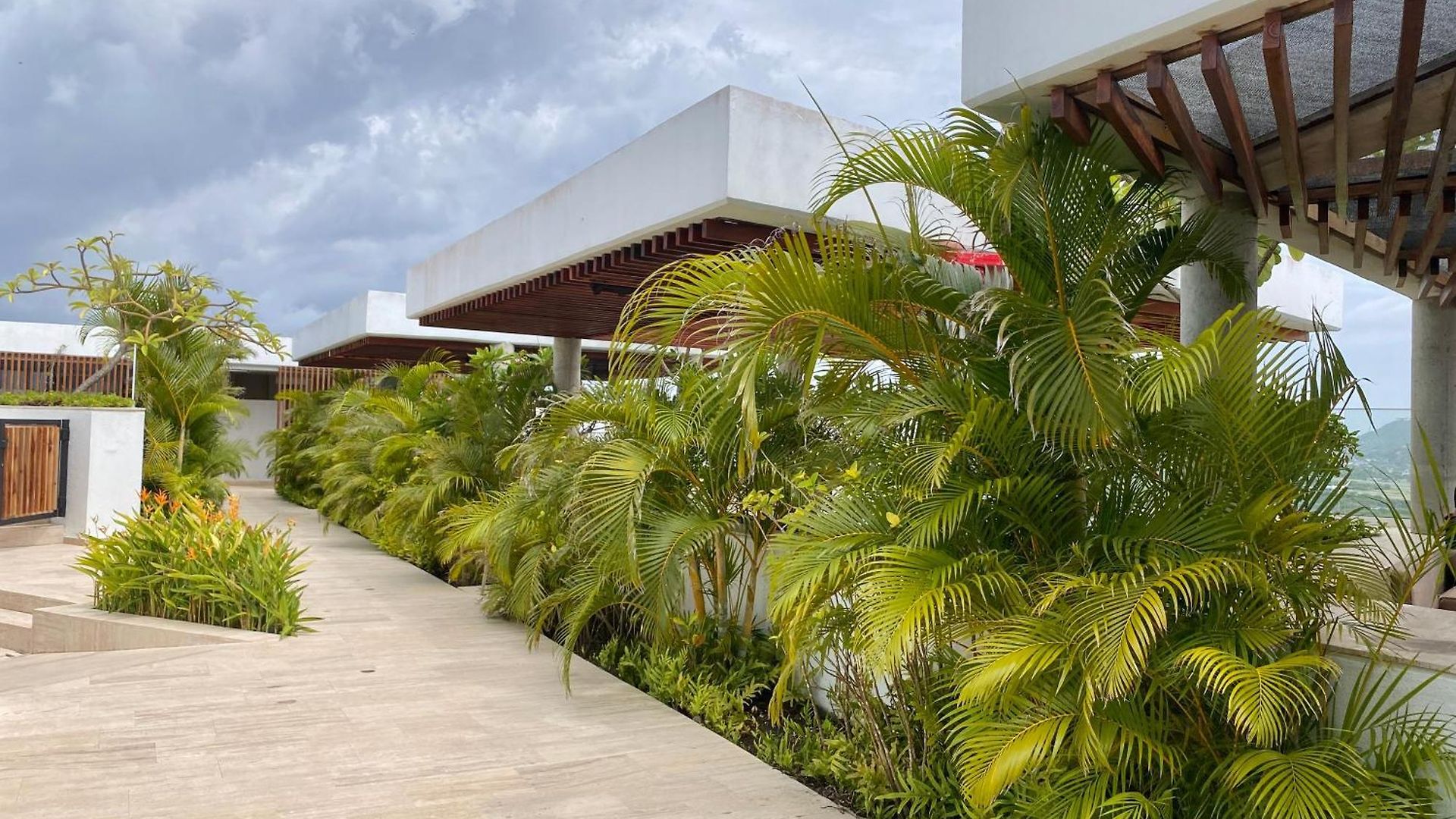 Martinique By Q *