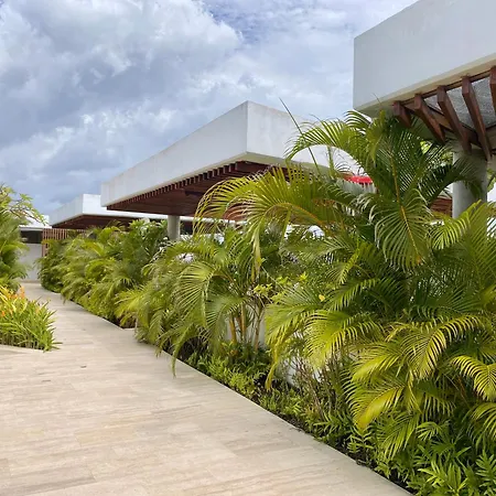 Martinique By Q *